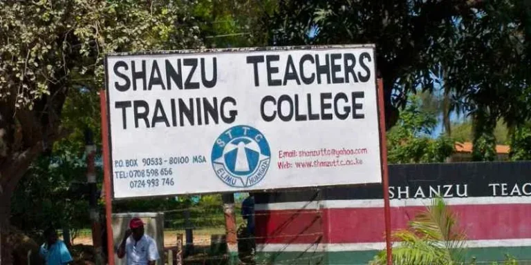 Teacher Training Colleges