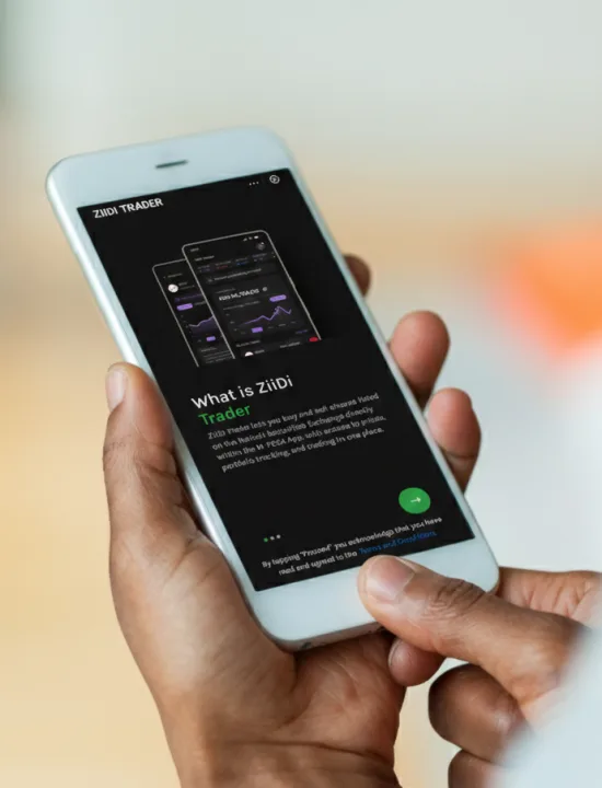 Ziidi Trader